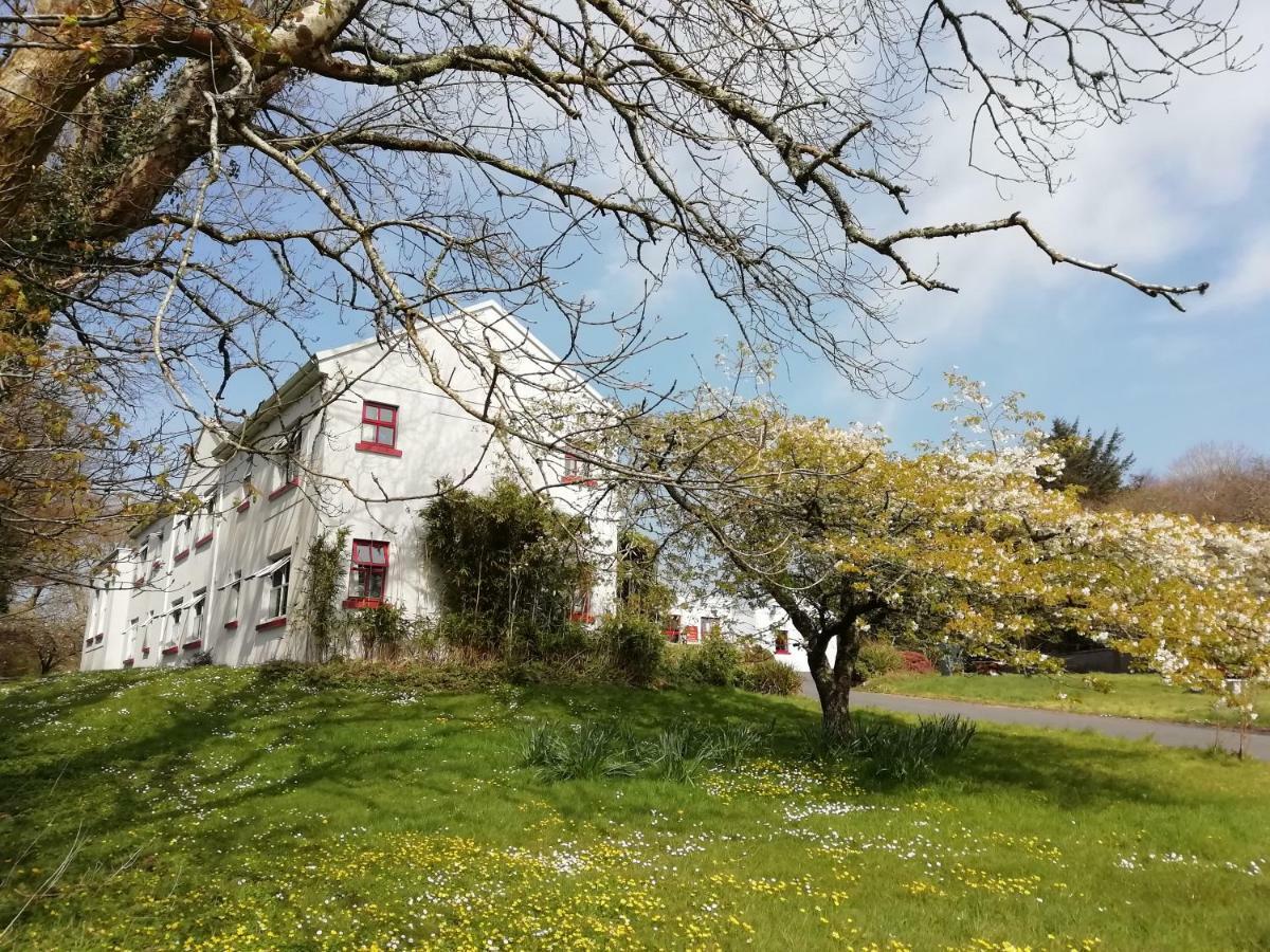 The Burren Hostel - Sleepzone Lisdoonvarna Zewnętrze zdjęcie